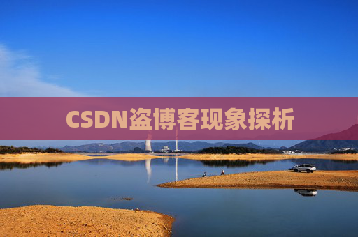 CSDN盗博客现象探析 CSDN盗博客现象探析